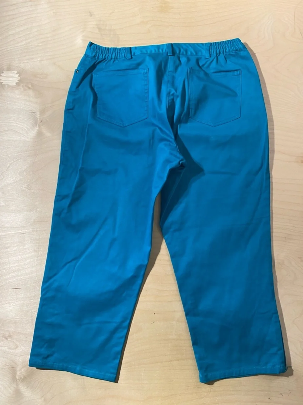 Ruby Rd. Teal Petite Pants 12P (QZ)